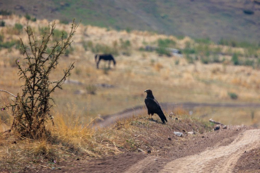 Photograph by Юлия Мальнева