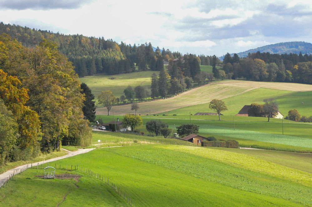 Photograph by Галина Храмова (Лысых)