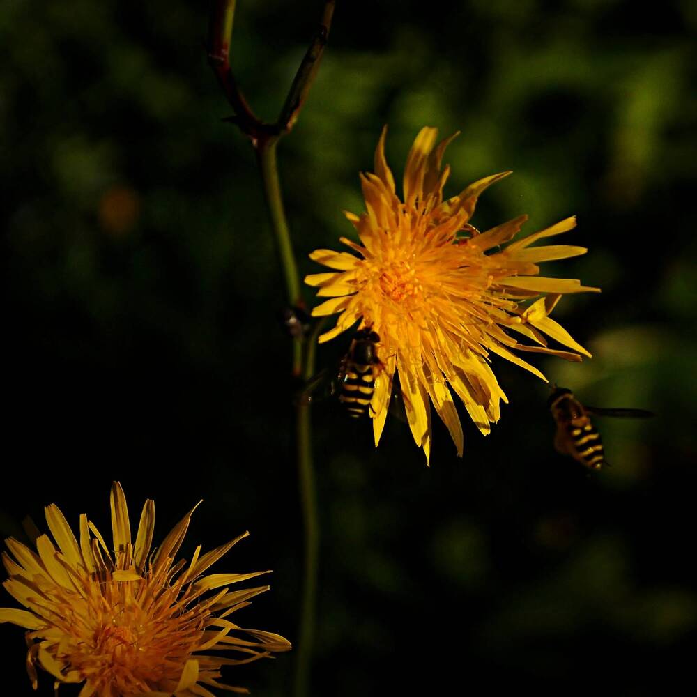 Photograph by Дарья Толстых