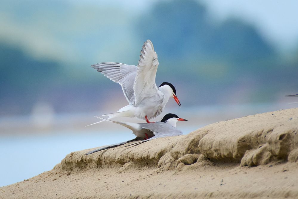 Photograph by Полина Шальнева