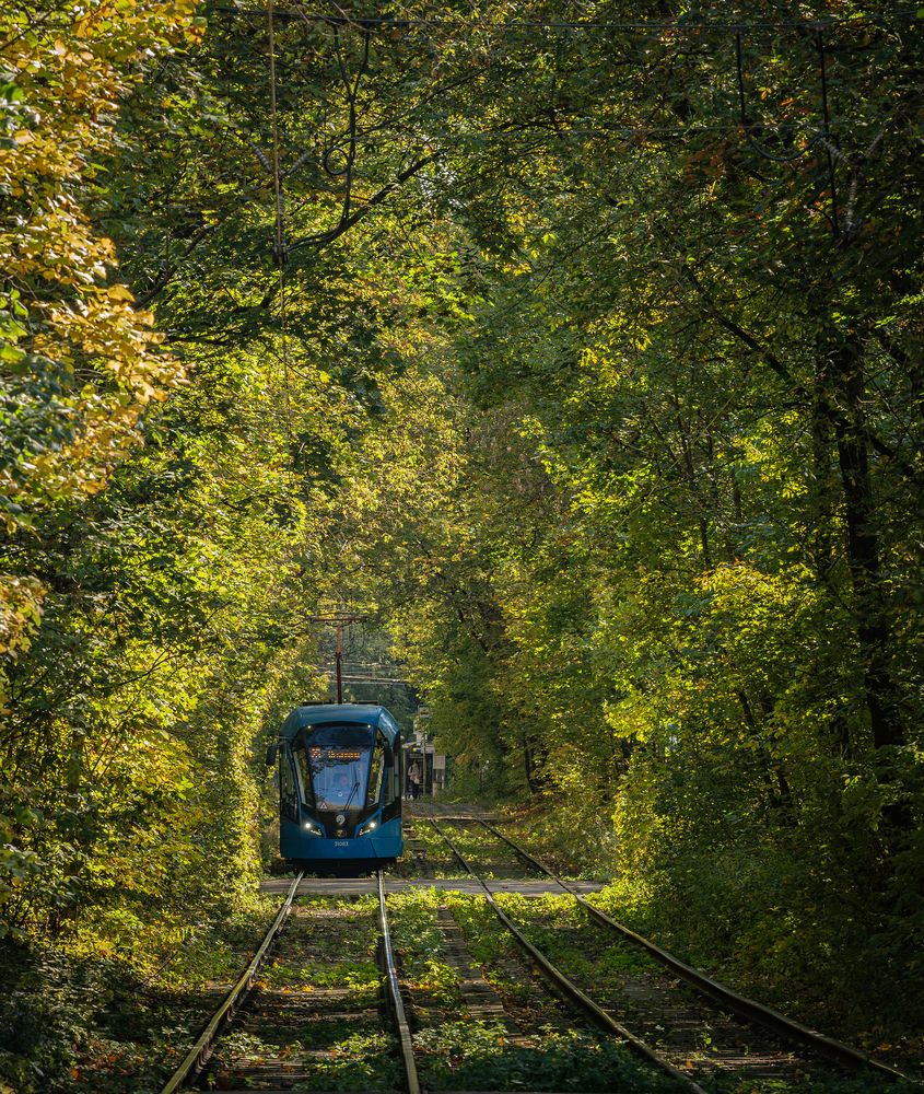 Photograph by Сергей Басов