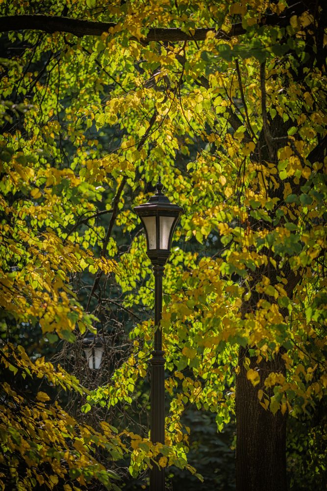 Photograph by Сергей Басов