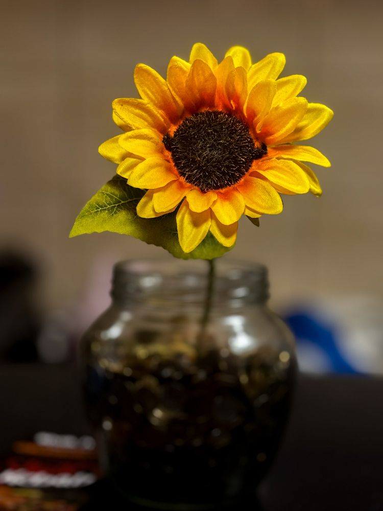 Фотография автора Sheikh Masud