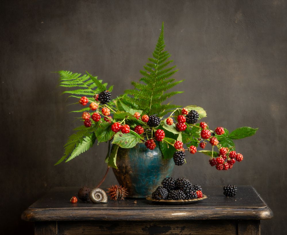 Photograph by Milla Walmus