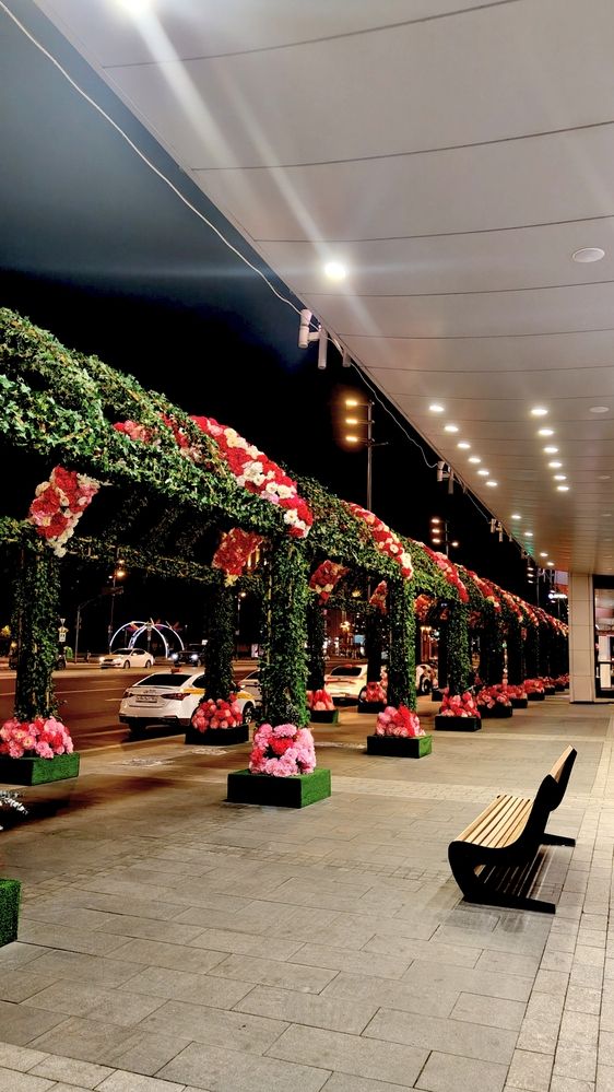 Фотография автора Лилит Цоголакян