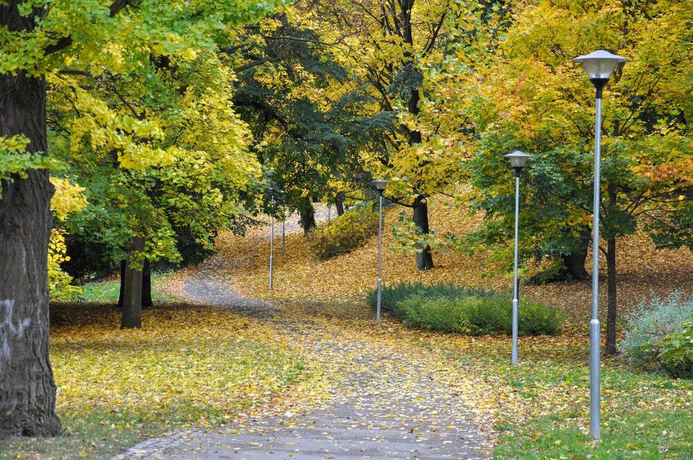 Photograph by Галина Храмова (Лысых)