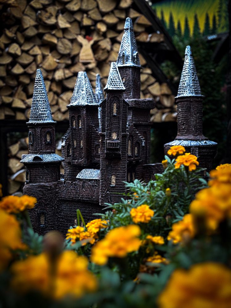 Photograph by Иван Весельников