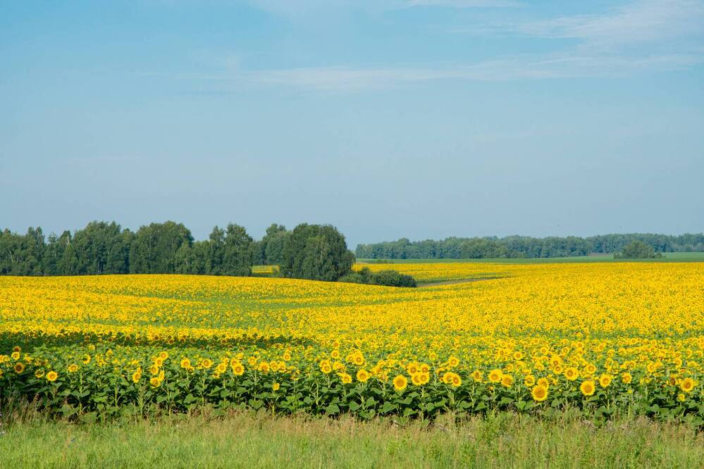Photograph by Николай Владимирович