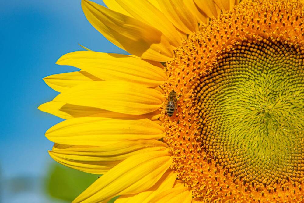 Photograph by Николай Владимирович