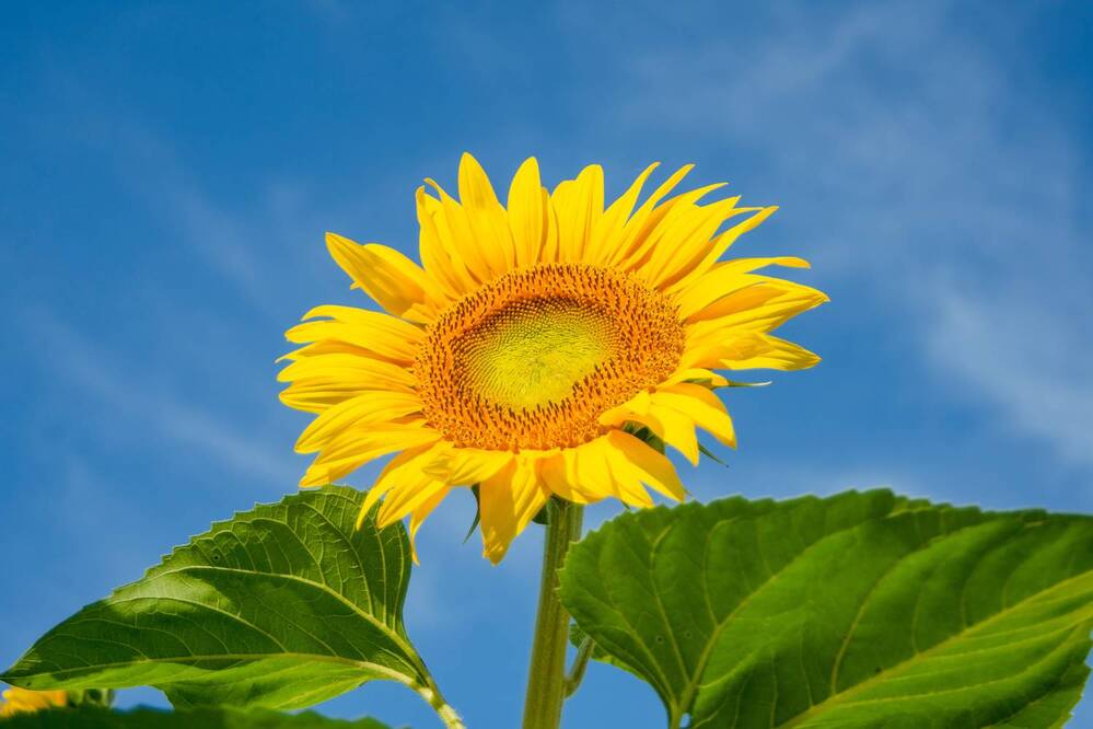 Photograph by Николай Владимирович