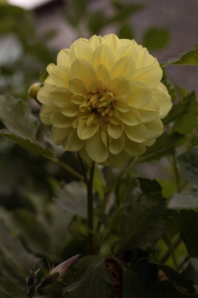 Photograph by Елена Григорьева