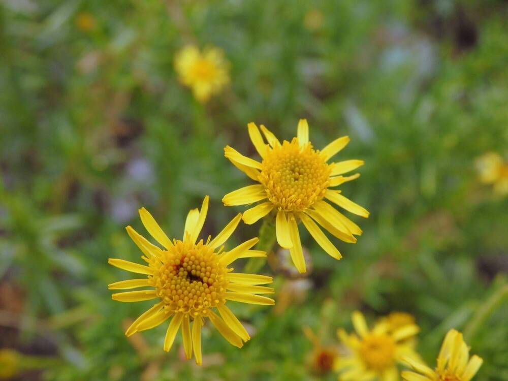 Photograph by Emil Zivanov