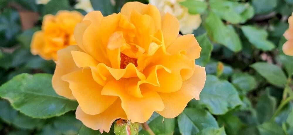 Photograph by Emil Zivanov