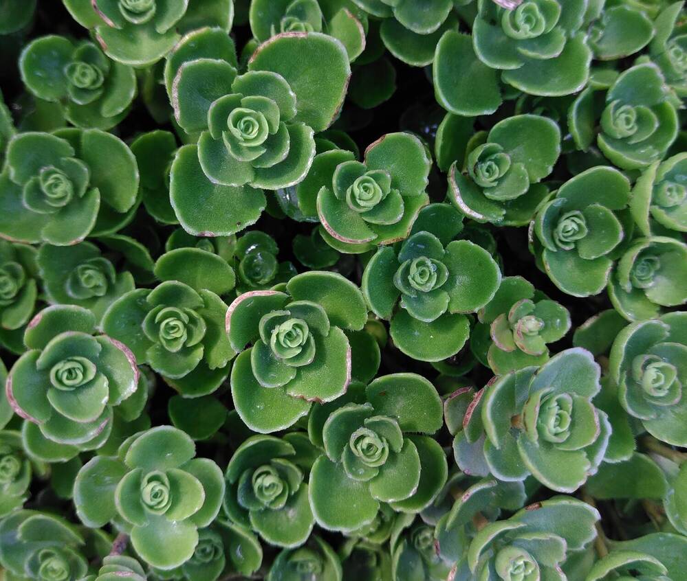 Photograph by Анна Александрова