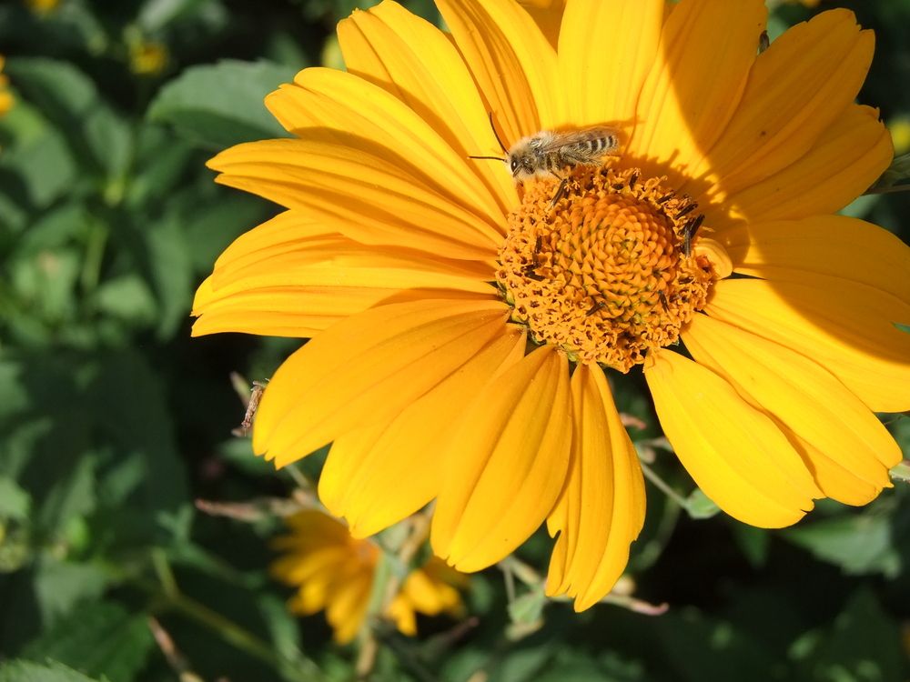 Photograph by Татьяна Шитлина