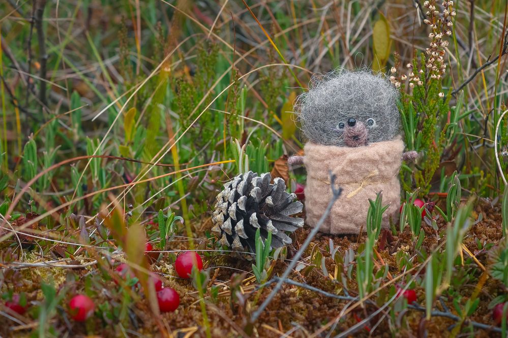 Photograph by Юлия Крюкова