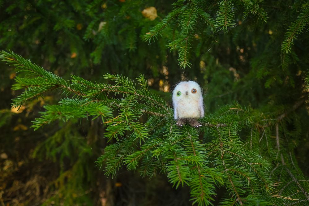 Photograph by Юлия Крюкова