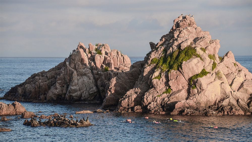 Морское очарование