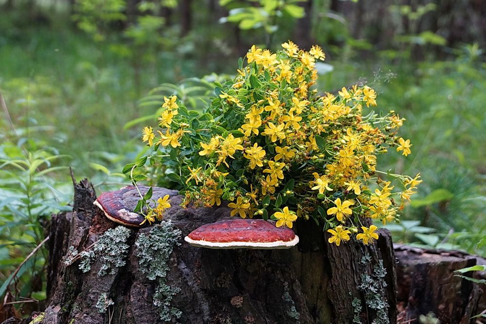 Летнее настроение