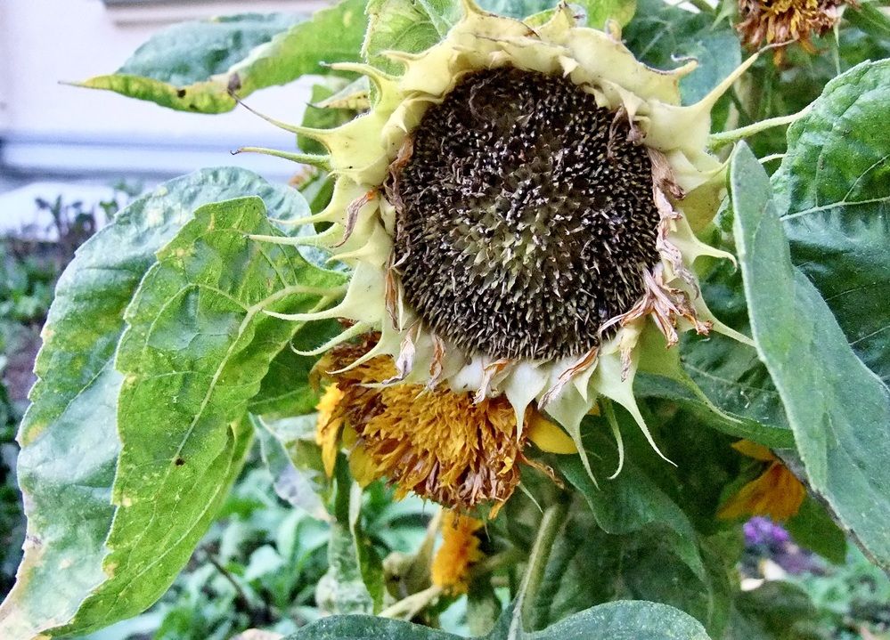 Photograph by Татьяна Шитлина