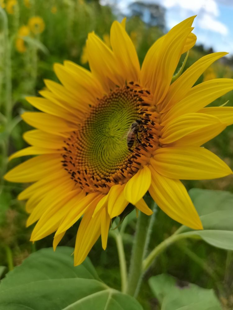 Photograph by REAHBELN ALZATE