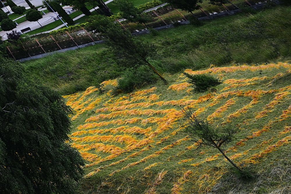 Photograph by Вадим Гераскин