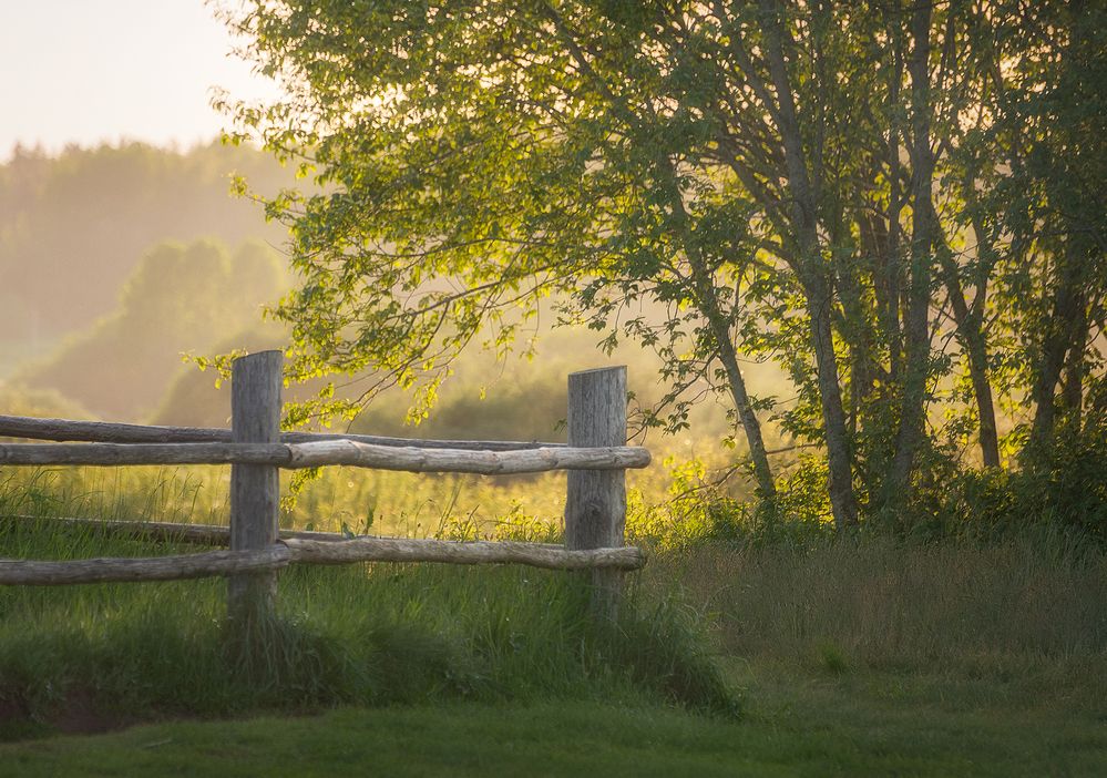 Фотография автора Andrew Kuzmin