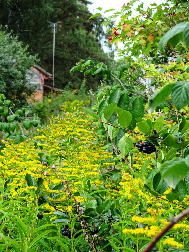 Photograph by Дарья Овсянникова