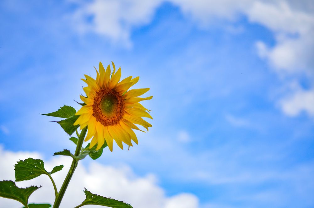 Photograph by Глухарев Сергей