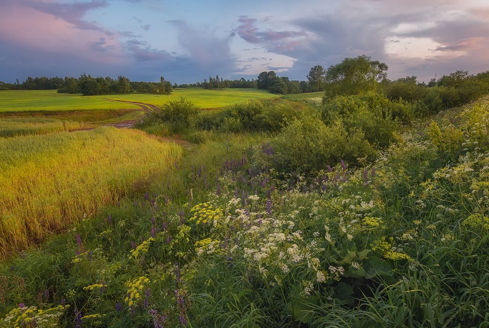 Фотография автора Andrew Kuzmin