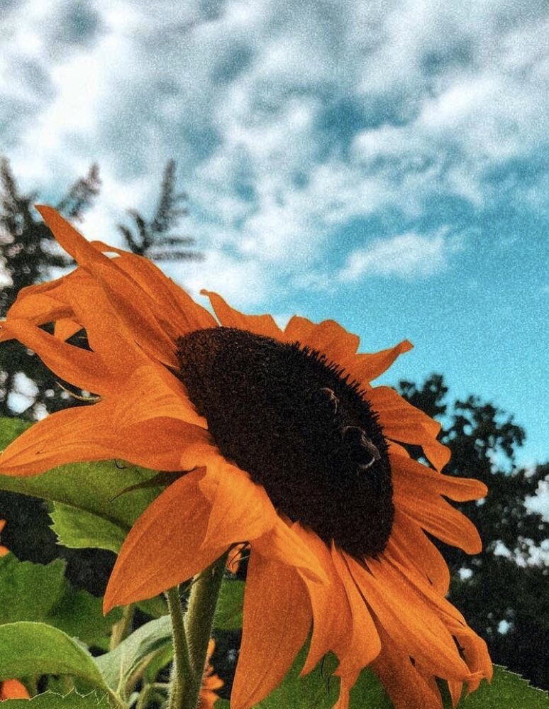 Photograph by Fatima Salimi