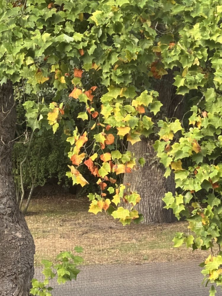 Photograph by Fatima Salimi