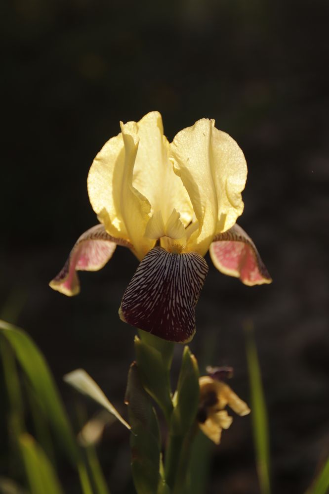 Photograph by Алексей Банных