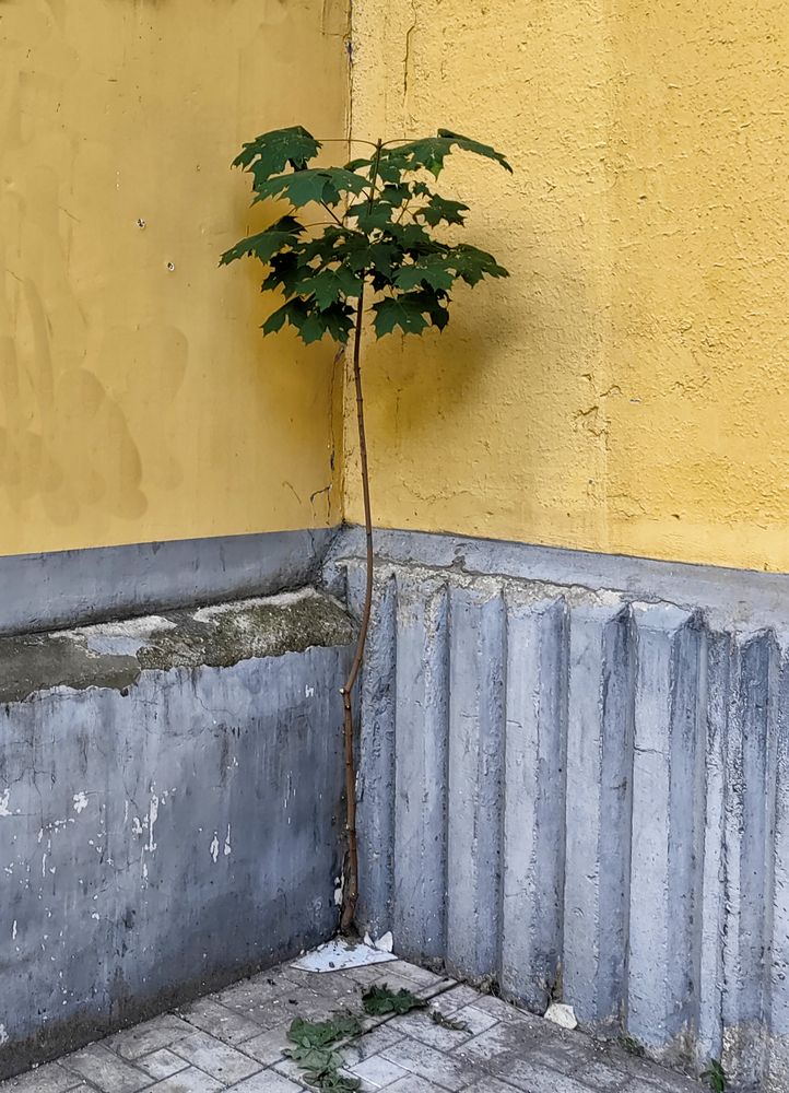 Photograph by Михаил Янкин