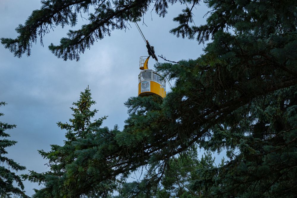Фотография автора Мария Степина