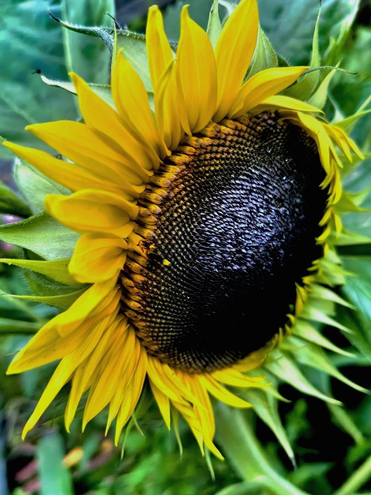 Photograph by Olga Kot