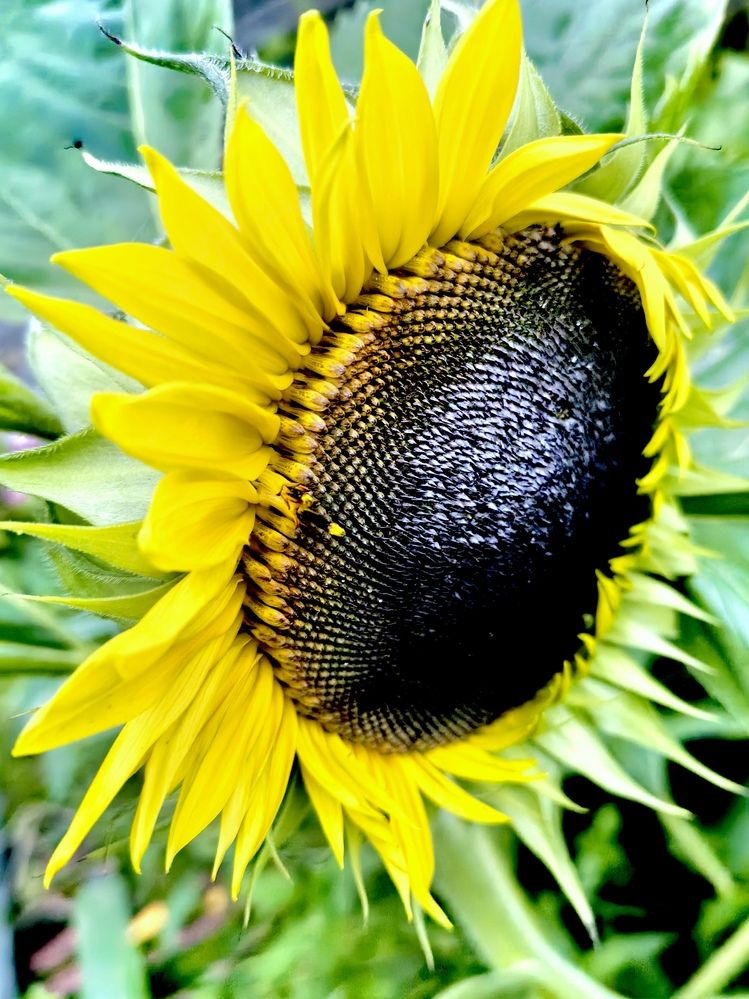 Photograph by Olga Kot