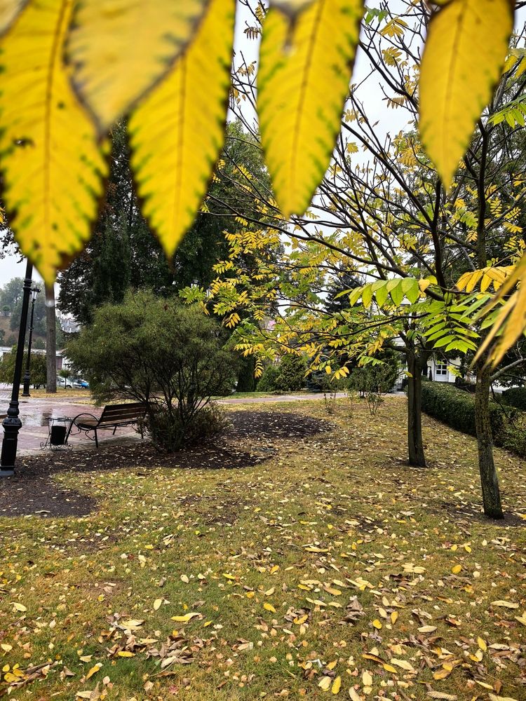 Фотография автора Александр Сипаров