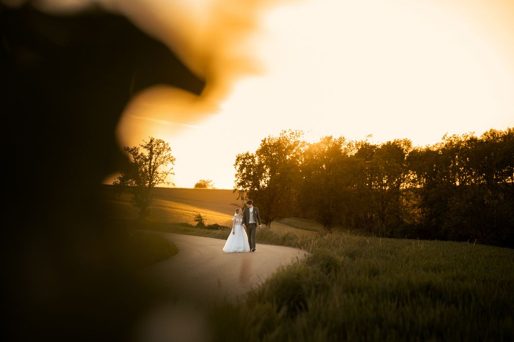 Photograph by Daniela Schmid