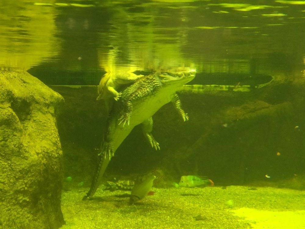 Photograph by Лидия Дорошина