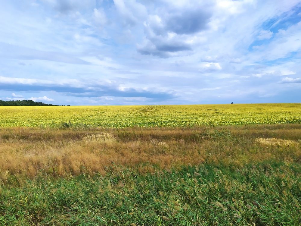 Photograph by Лидия Дорошина