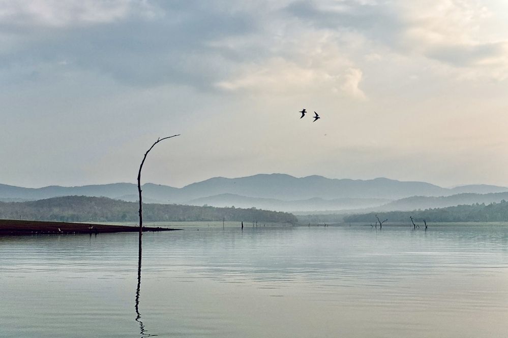 Photograph by BIPLAB MISRA