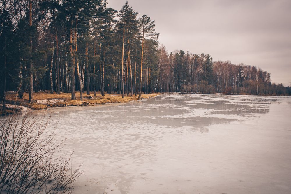 Photograph by Морозов Алексей