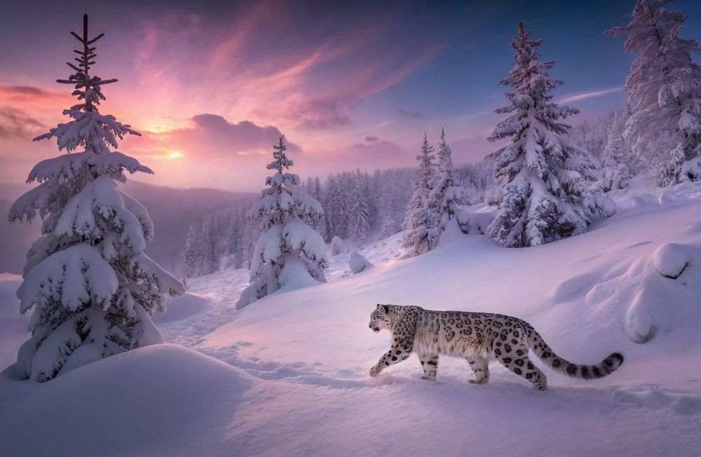 Фотография автора Андрей Рябинин