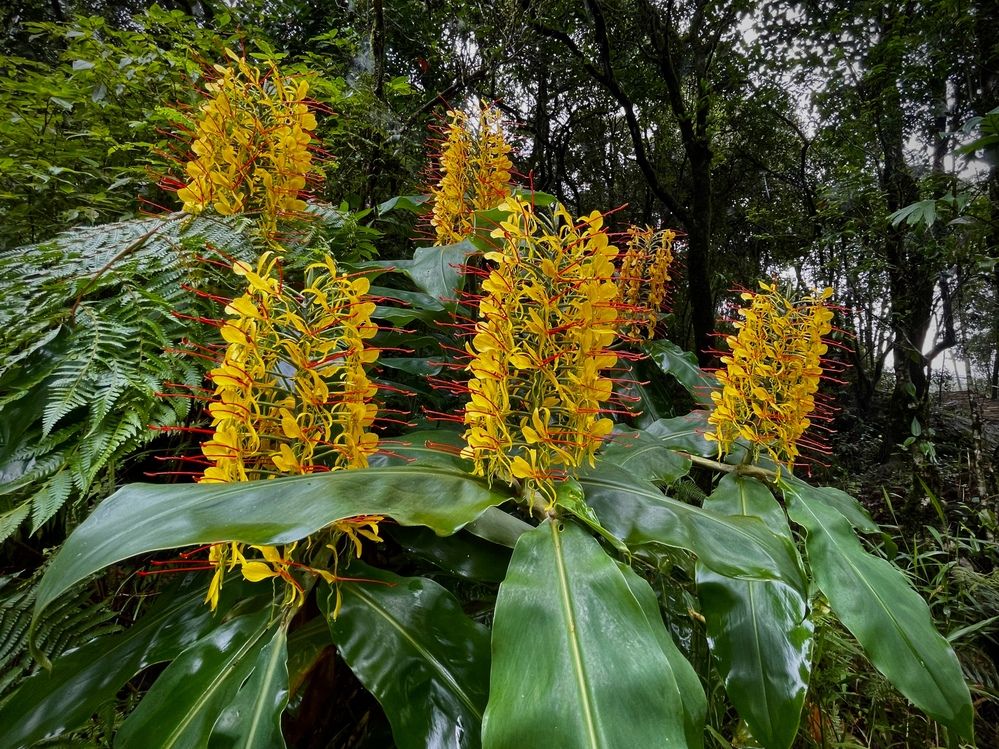 Фотография автора BIPLAB MISRA