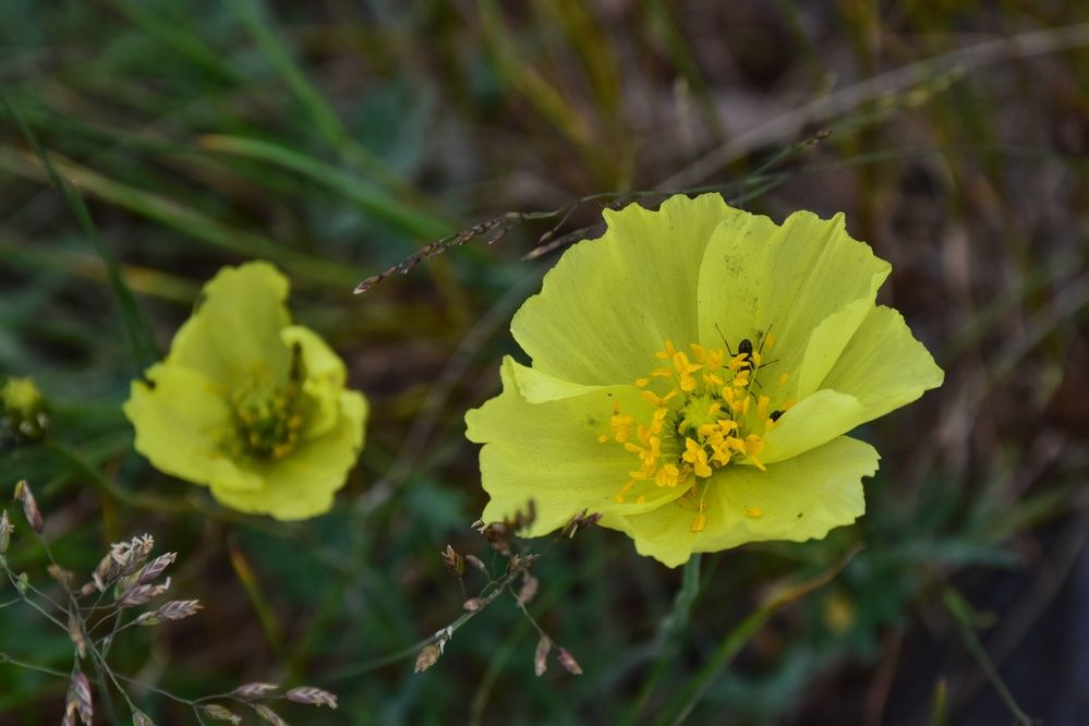 Photograph by Нина Кольман