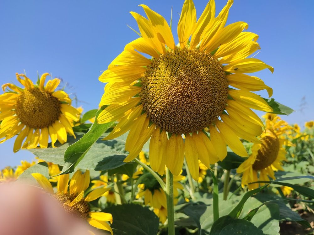 Photograph by Ljiljana Nedeljković