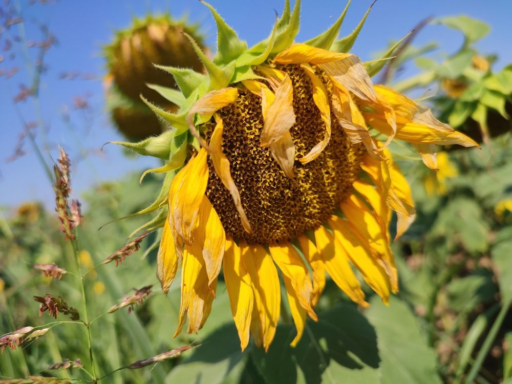 Photograph by Ljiljana Nedeljković