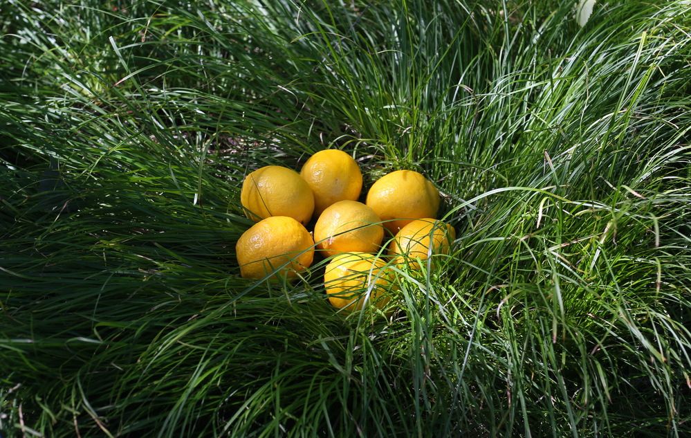 Photograph by Андрей Стародубцев