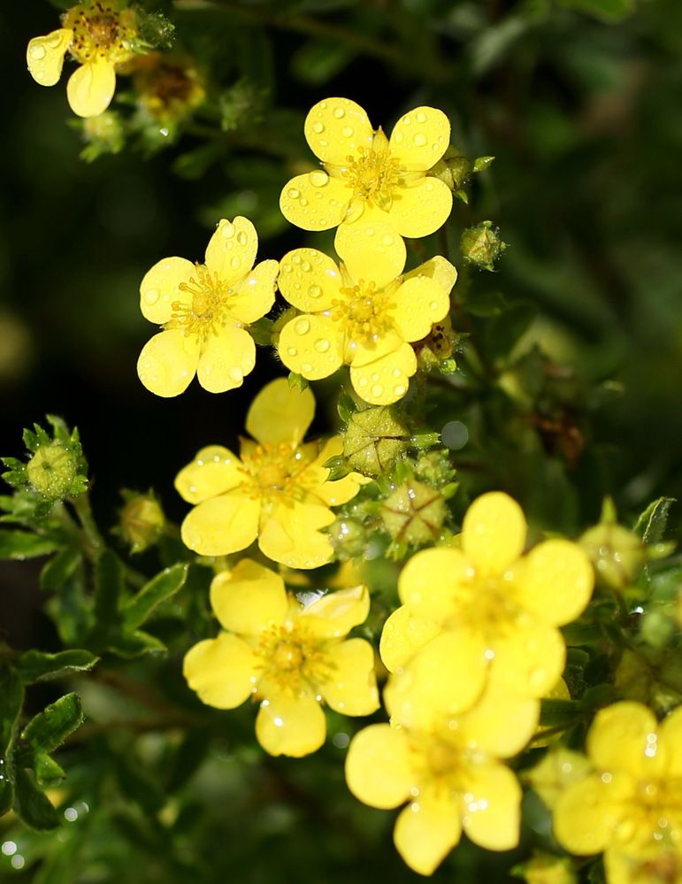 Photograph by Андрей Стародубцев